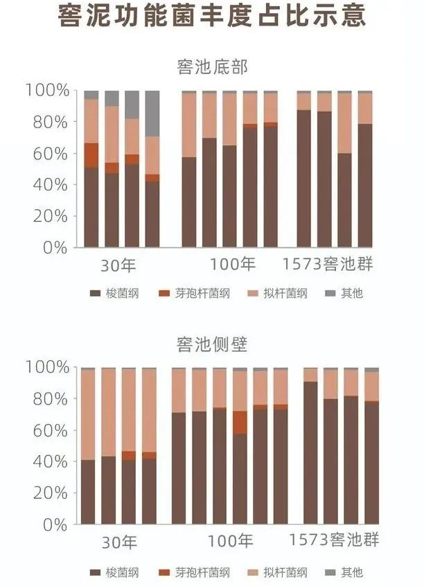 是什么成就了川酒浓香一一国宝窖池450年