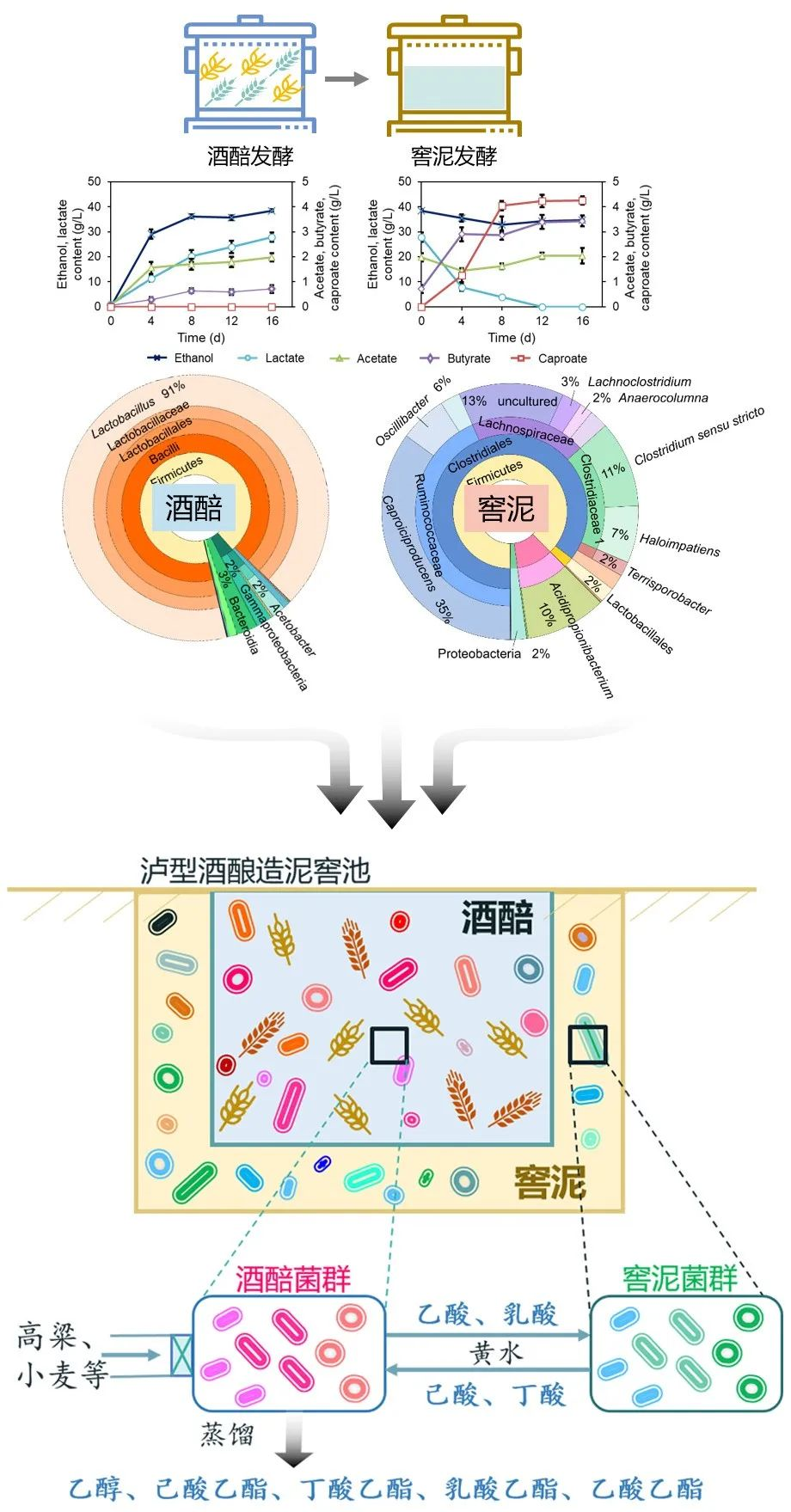 是什么成就了川酒浓香一一国宝窖池450年