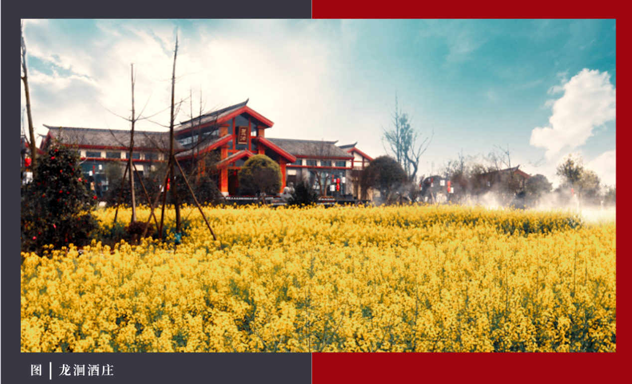 1782197739422164.png 图片9.png