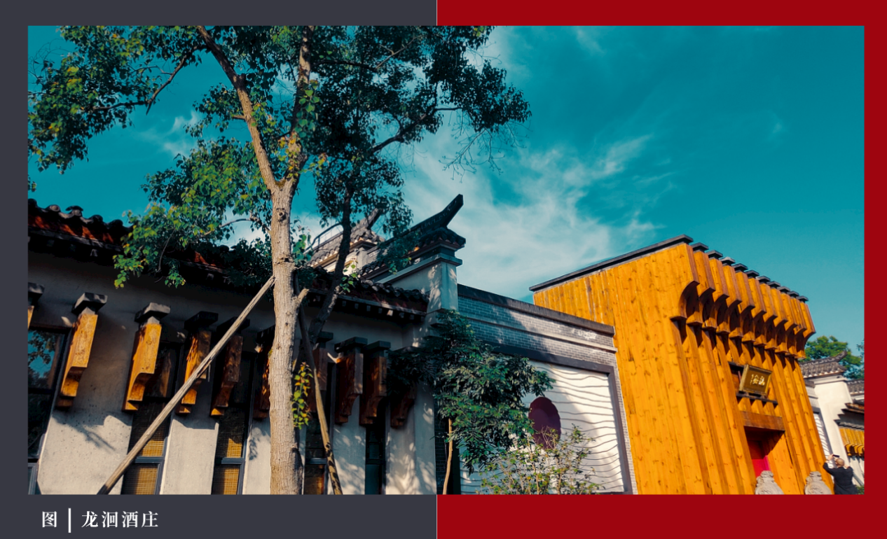 1782197775202946.png 图片13.png